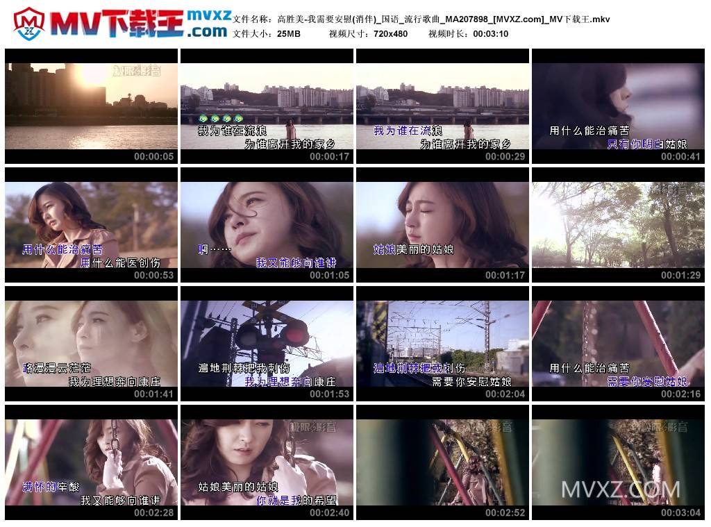 高胜美-我需要安慰(消伴)_国语_流行歌曲_MA207898